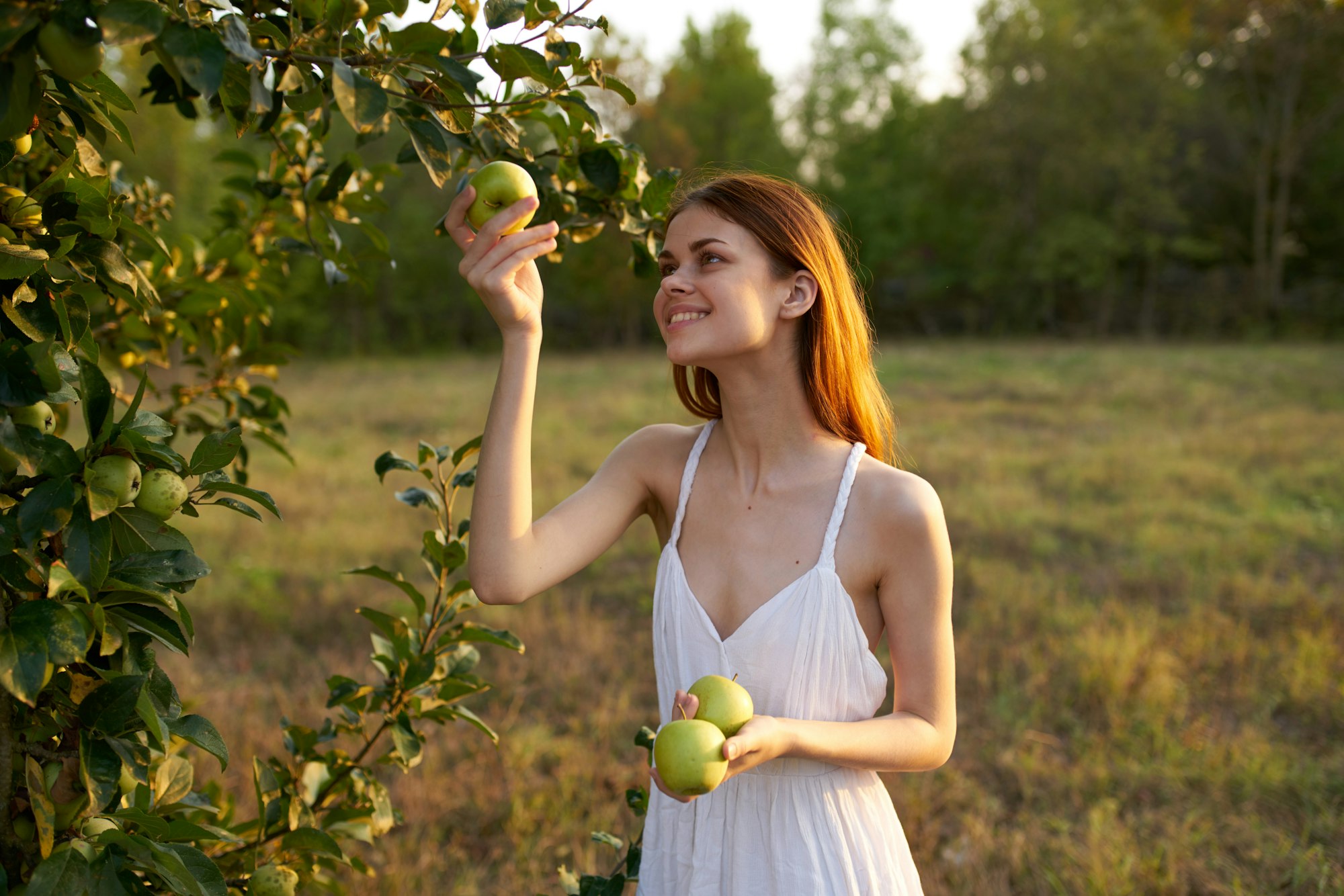 Woman in a white dress in a field with apples in her hands